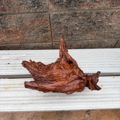 天然流木　アクアリウム、爬虫類の画像