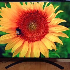 無料配送 2020年 65V型 LG 65NANO91JNA 4K液晶テレビ HDR10 Youtube NETFLIX 多機能音声リモコン(280)の画像
