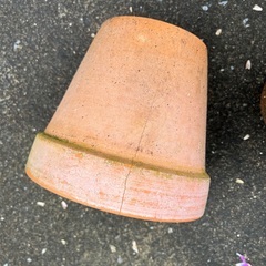 素焼き 5号鉢 4個の画像