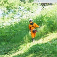 来年スタート｜草刈り・剪定の安定案件をお任せできる協力業者様を限定募集（2社のみ） の画像