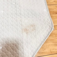 コットカバー60×100の画像