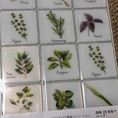カインズデザインシート　ハーブ8枚の画像