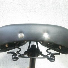 ★お洒落な大きいテリー型サドル★ブラック★の画像