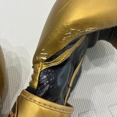 グローブの画像