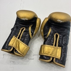 グローブの画像