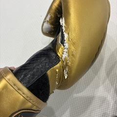 グローブの画像