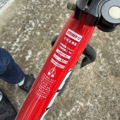 ストライダー　男女兼用　2〜5才　外遊びの画像