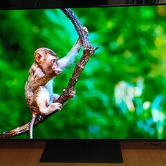 無料配送 2018年 65V型 PanasonicVIERA 4K有機ELTV TH-65FZ950 HDR10 Youtube NETFLIX 多機能音声リモコン(320)の画像