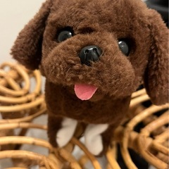 おもちゃ色々の画像