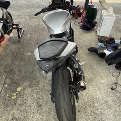 yzfr3
の画像