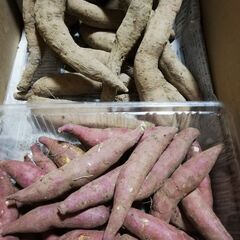 So this is christmas の画像