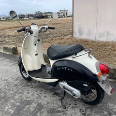 HONDA スクーピー　AF55 スクーター　原付の画像