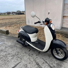 HONDA スクーピー　AF55 スクーター　原付の画像
