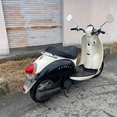 HONDA スクーピー　AF55 スクーター　原付の画像