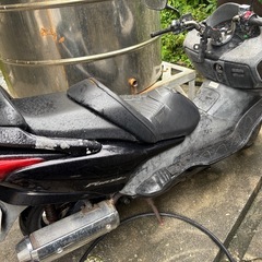 フォルツァの画像