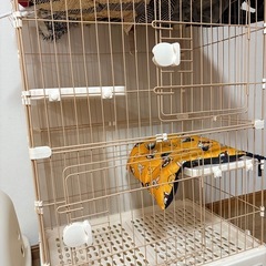 ペット ゲージの画像