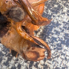 流木　幅50×70cmの画像