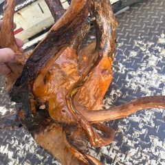 流木　幅50×70cmの画像