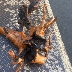 流木　幅50×70cmの画像