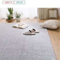 ニトリ　カーペットの画像