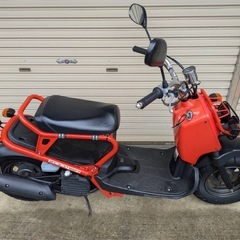 ホンダ ズーマーの画像