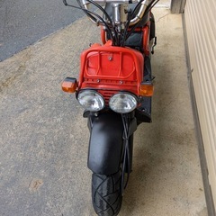 ホンダ ズーマーの画像