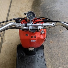 ホンダ ズーマーの画像