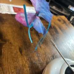 猫おもちゃ　電動の画像