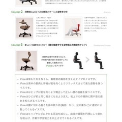 ウリドルチェア(本革)の画像