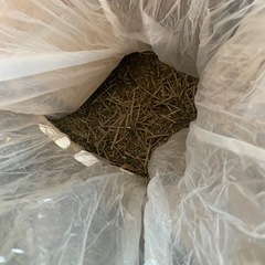 うさぎフード　チーモシー　アルファルファ　等の画像