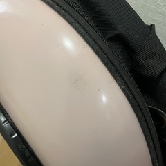 ペットキャリーバッグ　カプセル窓付き　ピンクの画像