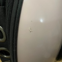 ペットキャリーバッグ　カプセル窓付き　ピンクの画像