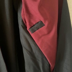 「公式」ハリー・ポッター ローブの画像