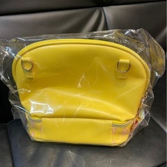 ケアベアショルダーバッグの画像