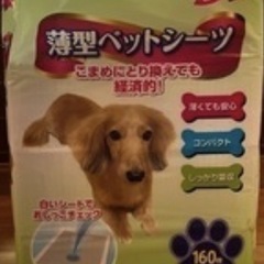 ペットシーツ50枚の画像