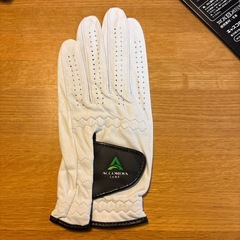 ゴルフ　グローブ②の画像