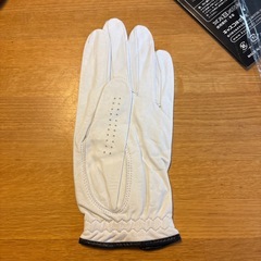 ゴルフ　グローブ②の画像