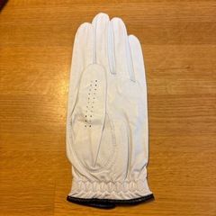 ゴルフグローブ③の画像