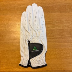 ゴルフグローブ③の画像