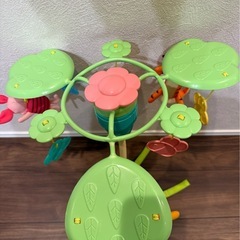 プーメリーの画像