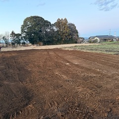 ★新年早々大募集★の画像