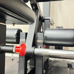 レアマシン！ヒップスクワットマシンの画像