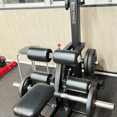 レアマシン！ヒップスクワットマシンの画像