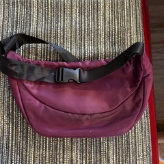 ウエストバッグの画像