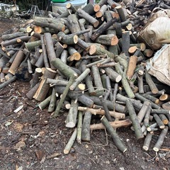 薪材　キャンプ　BBQなど　差しあげますの画像