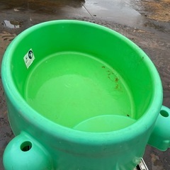 亀の砂場の画像