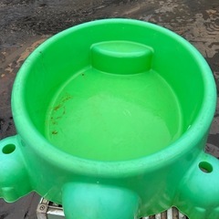 亀の砂場の画像