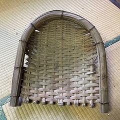 竹、テミの画像