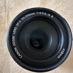 canon eos M6の画像