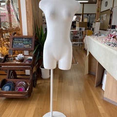 マネキンの画像